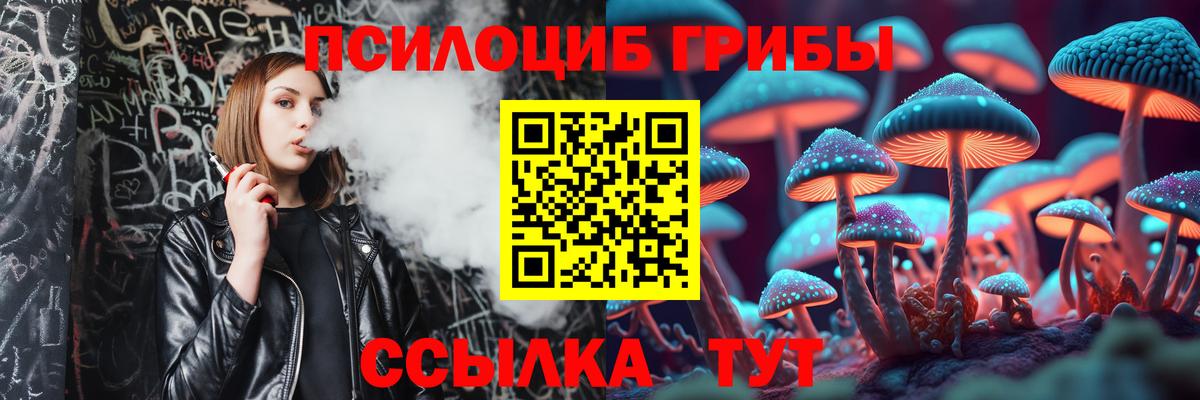 Галлюциногенные грибы мухоморы Можайск