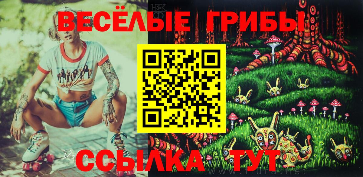 Галлюциногенные грибы прущие грибы  Псилоцибиновые грибы MAGIC MUSHROOMS  Можайск  даркнет сайт  Вход с VPN 